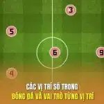 các vị trí số trong bóng đá