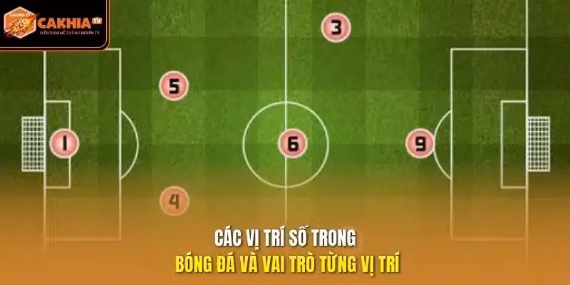 các vị trí số trong bóng đá