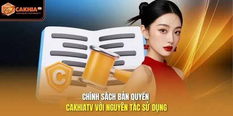 chính sách bản quyền